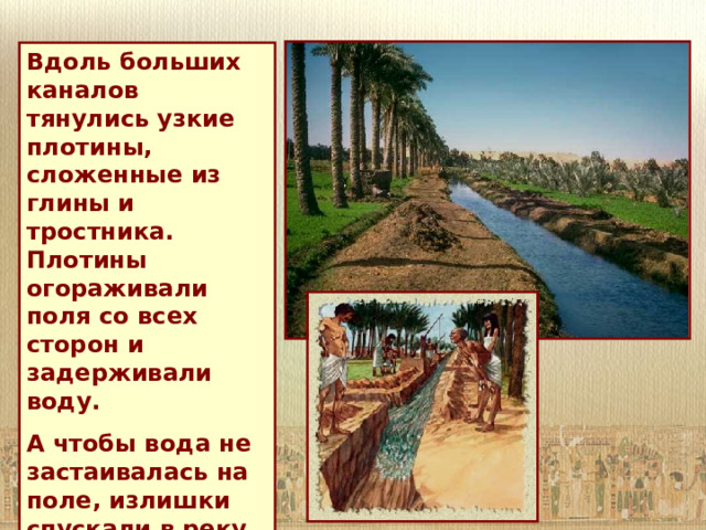 Вдоль больших каналов тянулись узкие плотины, сложенные из глины и тростника. Плотины огораживали поля со всех сторон и задерживали воду. А чтобы вода не застаивалась на поле, излишки спускали в реку через специальные «воротца» в насыпях.  