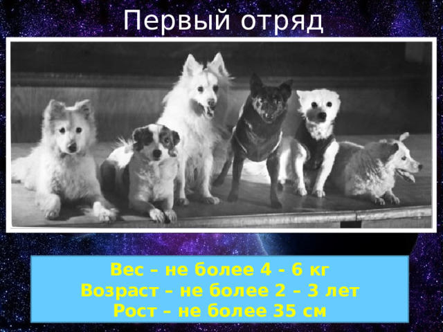 Первый отряд космонавтов Вес – не более 4 - 6 кг Возраст – не более 2 – 3 лет Рост – не более 35 см 