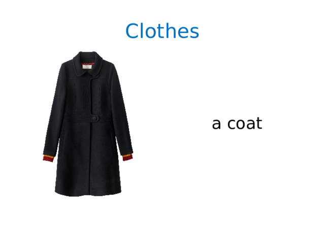 Clothes a coat 