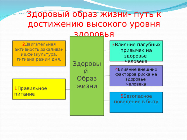 Здоровый образ жизни- путь к достижению высокого уровня здоровья Здоровый Образ жизни 3 Влияние пагубных привычек на здоровье 2 Двигательная активность,закаливание,физкультура, человека гигиена,режим дня. 4 Влияние внешних факторов риска на здоровье человека 1 Правильное питание 5 Безопасное поведение в быту 