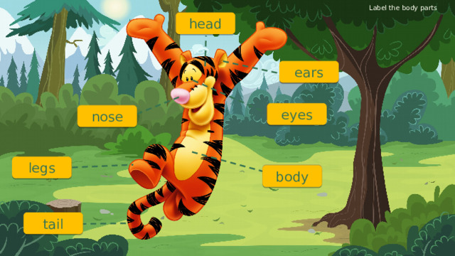 Label the body parts head ears eyes nose legs body tail 