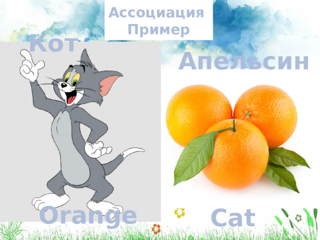 Ассоциация   Пример Кот Апельсин Orange Cat 