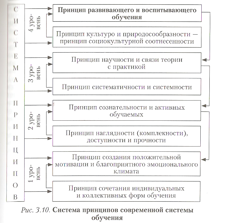 Какие характеристики относятся к принципам обучения. Принцип развивающего и воспитывающего обучения схема. Система современных принципов обучения. Принципы обучения в педагогике схема. Система принципов педагогика.