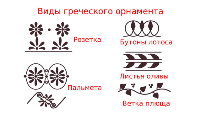 Виды греческого орнамента Розетка  Бутоны лотоса Листья оливы Пальмета  Ветка плюща 