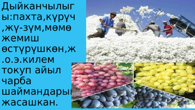 Дыйканчылыгы:пахта,күрүч,жү-зүм,мөмө жемиш өстүрүшкөн,ж.о.э.килем токуп айыл чарба шаймандарын жасашкан. 