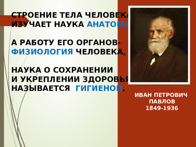 СТРОЕНИЕ ТЕЛА ЧЕЛОВЕКА ИЗУЧАЕТ НАУКА АНАТОМИЯ ,  А РАБОТУ ЕГО ОРГАНОВ- ФИЗИОЛОГИЯ  ЧЕЛОВЕКА,  НАУКА О СОХРАНЕНИИ И УКРЕПЛЕНИИ ЗДОРОВЬЯ НАЗЫВАЕТСЯ ГИГИЕНОЙ . ИВАН ПЕТРОВИЧ ПАВЛОВ 1849-1936 