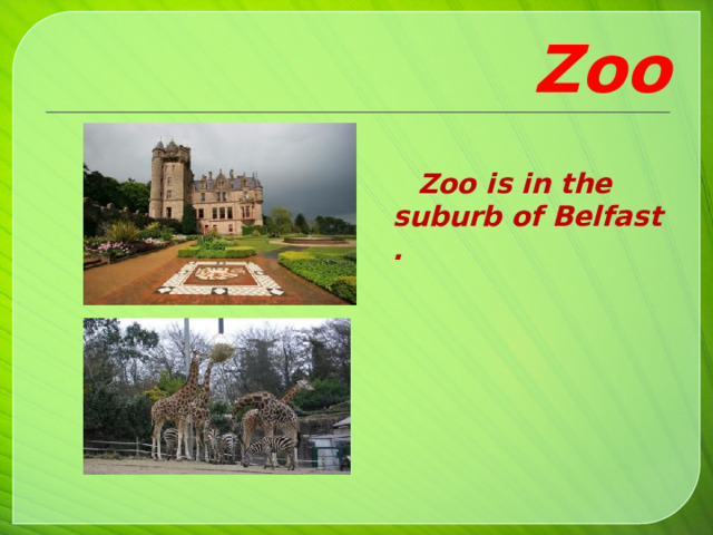 Zoo   Zoo is in the suburb of Belfast .     