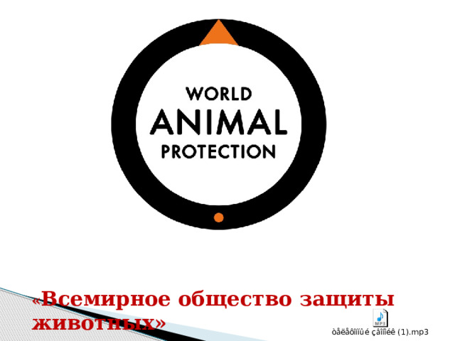 « Всемирное общество защиты животных» 