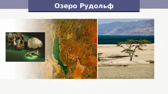 Озеро рудольф на физической карте африки Африка. Республика Кения.