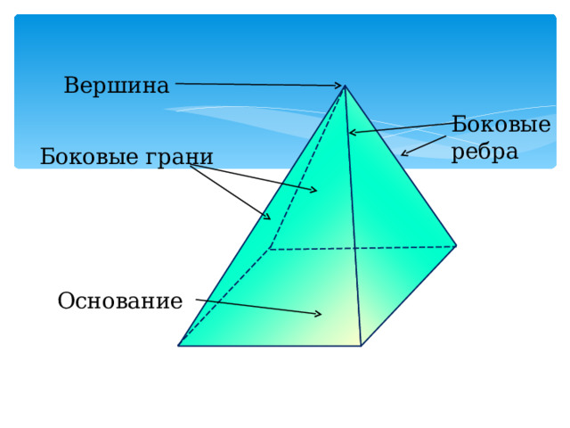 Вершина Боковые ребра Боковые грани Основание 