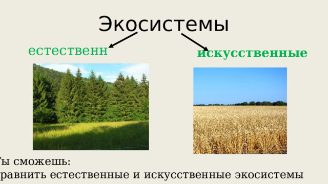 Экосистемы естественные искусственные Ты сможешь: сравнить естественные и искусственные экосистемы 