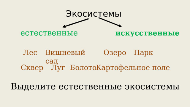Экосистемы естественные искусственные Лес Вишневый сад  Озеро Парк Сквер  Луг Картофельное поле Болото Выделите естественные экосистемы 
