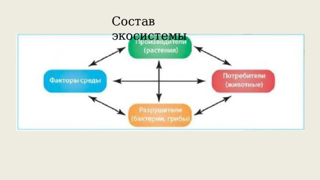 Состав экосистемы 