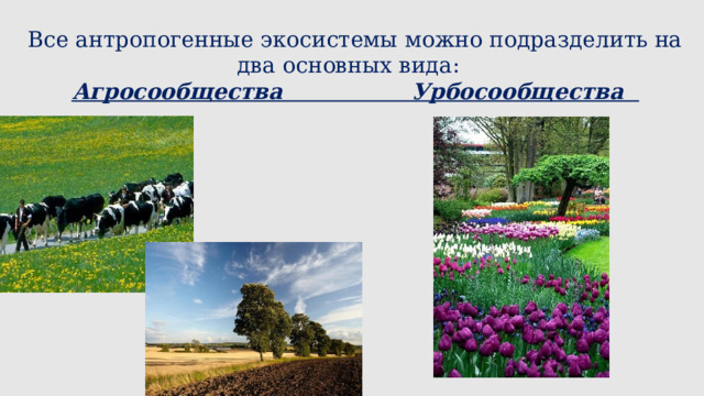 Все антропогенные экосистемы можно подразделить на два основных вида: Агросообщества Урбосообщества  