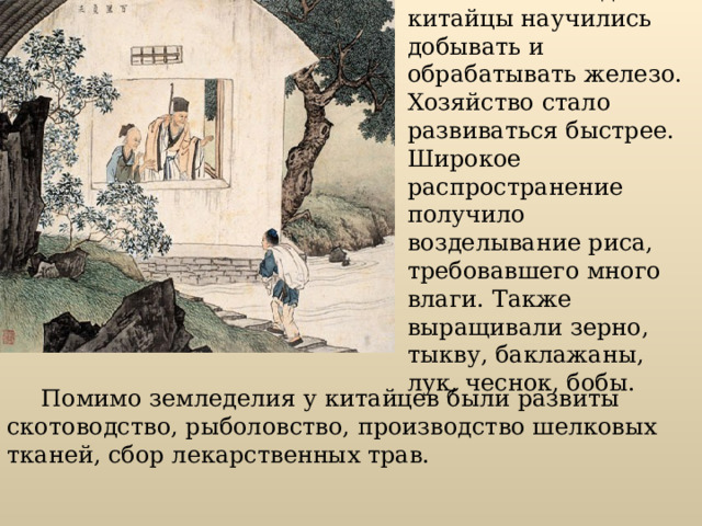 В VI - V веках до н.э. китайцы научились добывать и обрабатывать железо. Хозяйство стало развиваться быстрее. Широкое распространение получило возделывание риса, требовавшего много влаги. Также выращивали зерно, тыкву, баклажаны, лук, чеснок, бобы. Помимо земледелия у китайцев были развиты скотоводство, рыболовство, производство шелковых тканей, сбор лекарственных трав. 