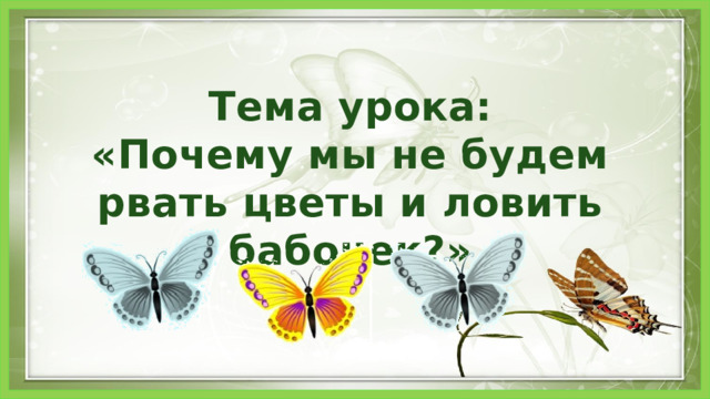 Тема урока: «Почему мы не будем рвать цветы и ловить бабочек?» 