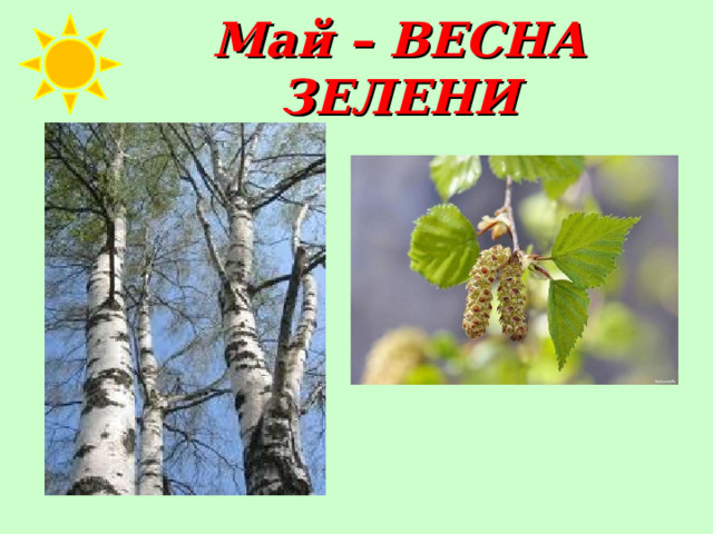 Май – ВЕСНА ЗЕЛЕНИ 