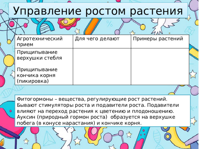 Управление ростом растения Агротехнический прием Для чего делают Прищипывание верхушки стебля Примеры растений Прищипывание кончика корня (пикировка) Фитогормоны – вещества, регулирующие рост растений. Бывают стимуляторы роста и подавители роста. Подавители влияют на переход растения к цветению и плодоношению. Ауксин (природный гормон роста) образуется на верхушке побега (в конусе нарастания) и кончике корня. 