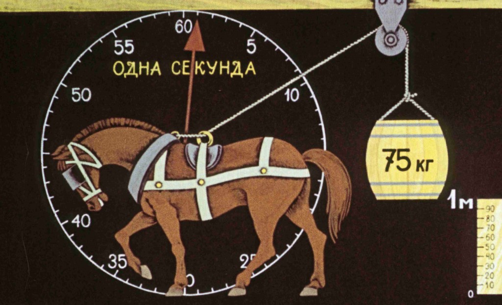 Сколько в человеке лошадиных