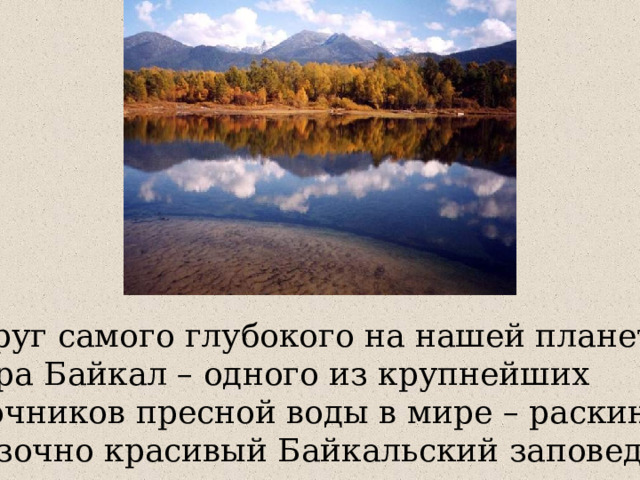 Вокруг самого глубокого на нашей планете  озера Байкал – одного из крупнейших источников пресной воды в мире – раскинулся  сказочно красивый Байкальский заповедник. 