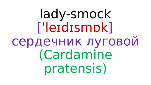lady-smock  [ ˈleɪdɪsmɒk ]  сердечник луговой (Cardamine pratensis) 