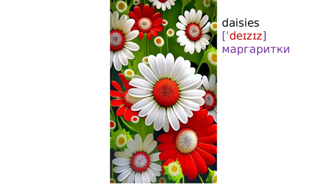 daisies  [ ˈdeɪzɪz ]  маргаритки   