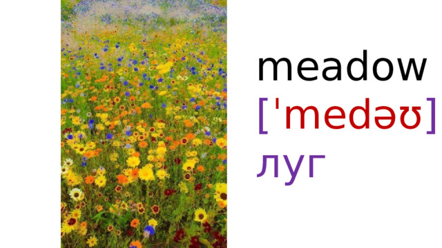 meadow  [ ˈmedəʊ ]  луг 