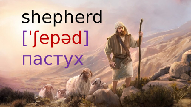shepherd  [ ˈʃepəd ]  пастух 