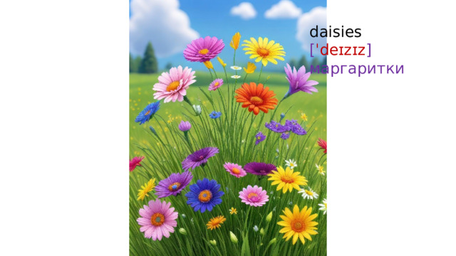 daisies  [ ˈdeɪzɪz ]  маргаритки   
