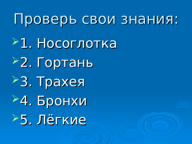 Проверь свои знания: 1. Носоглотка 2. Гортань 3. Трахея 4. Бронхи 5. Лёгкие 