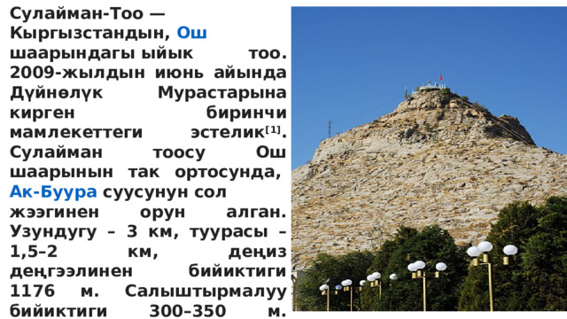 Сулайман-Тоо —  Кыргызстандын ,  Ош шаарындагы  ыйык тоо. 2009-жылдын июнь айында Дүйнөлүк Мурастарына кирген биринчи мамлекеттеги эстелик [1] . Сулайман тоосу Ош шаарынын так ортосунда,  Ак- Буура  суусунун  сол жээгинен орун алган. Узундугу – 3 км, туурасы – 1,5–2 км, деңиз деңгээлинен бийиктиги 1176 м. Салыштырмалуу бийиктиги 300–350 м. Сулайман-Тоо – улуттук тарыхый-археологиялык музей-комплекс.Кээ бирөөлөр тоону чөгүп жаткан төөгө окшоштурушат. Сыйынуучулардын саны бир жылда 16-17 миң адамды түзөт. XVI кылымга чейин Сулайман-Тоо Баара-Кух деп аталганы маалым.Сулайман Тоо 2009 жылдын июнь айында ЮНЕСКОго катталган мемлекеттик биринчи эстелик 