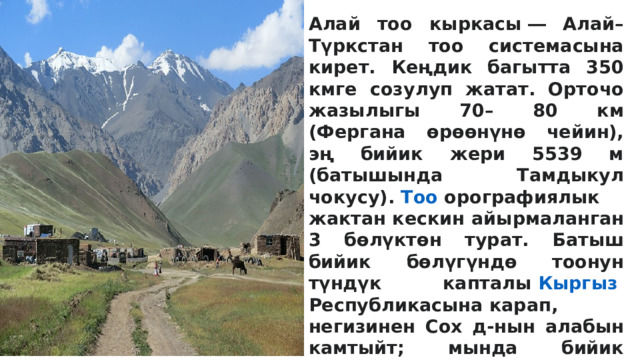 Алай тоо кыркасы ― Алай–Түркстан тоо системасына кирет. Кеңдик багытта 350 кмге созулуп жатат. Орточо жазылыгы 70– 80 км (Фергана өрөөнүнө чейин), эң бийик жери 5539 м (батышында Тамдыкул чокусу).  Тоо  орографиялык жактан кескин айырмаланган 3 бөлүктөн турат. Батыш бийик бөлүгүндө тоонун түндүк капталы  Кыргыз  Республикасына  карап, негизинен Сох д-нын алабын камтыйт; мында бийик чокулуу мөңгүлөр арбын. 