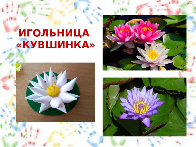 ИГОЛЬНИЦА «КУВШИНКА» 