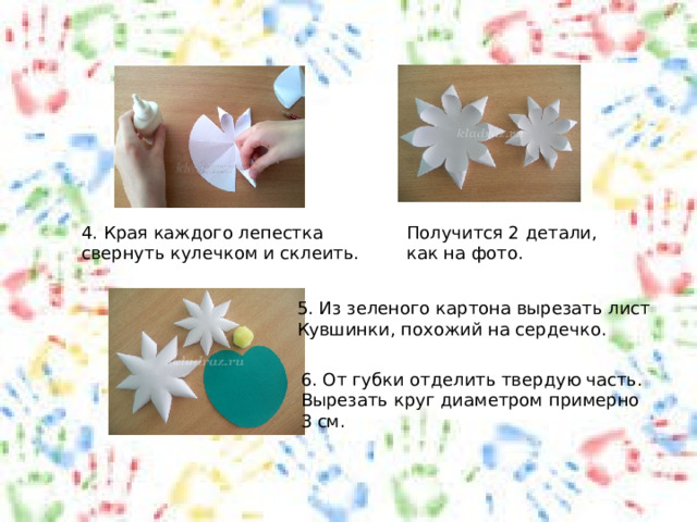 4. Края каждого лепестка Получится 2 детали, свернуть кулечком и склеить. как на фото. 5. Из зеленого картона вырезать лист Кувшинки, похожий на сердечко. 6. От губки отделить твердую часть. Вырезать круг диаметром примерно 3 см. 