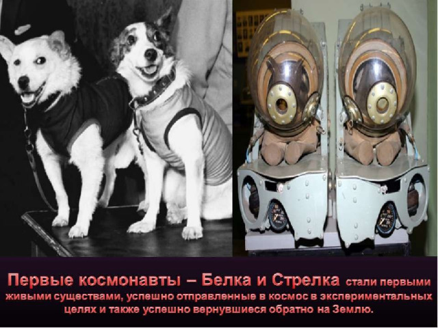 Белка и Стрелка 
