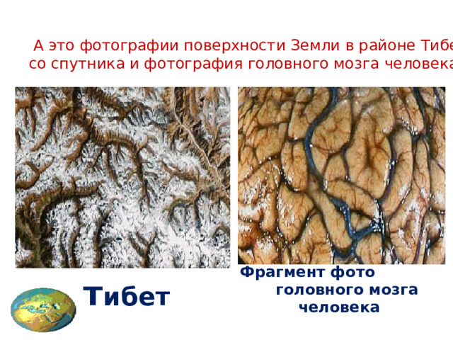  А это фотографии поверхности Земли в районе Тибета  со спутника и фотография головного мозга человека .   т ибет     Фрагмент фото головного мозга человека 