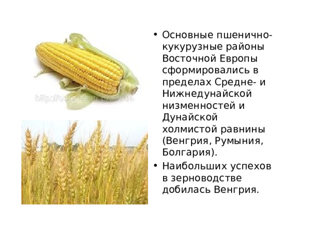 Основные пшенично-кукурузные районы Восточной Европы сформировались в пределах Средне- и Нижнедунайской низменностей и Дунайской холмистой равнины (Венгрия, Румыния, Болгария). Наибольших успехов в зерноводстве добилась Венгрия. 