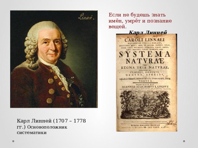 Если не будешь знать имён, умрёт и познание вещей.   Карл Линней Карл Линней (1707 – 1778 гг.) Основоположник систематики 