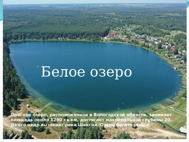Белое озеро Пресное озеро, расположенное в Вологодской области, занимает площадь около 1290 кв.км, достигает максимальной глубины 20. Из его недр вытекает река Шексна. Озеро богато рыбой. 