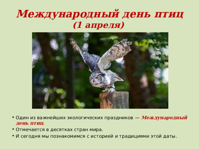 Международный день птиц  (1 апреля) Один из важнейших экологических праздников — Международный день птиц. Отмечается в десятках стран мира. И сегодня мы познакомимся с историей и традициями этой даты. 