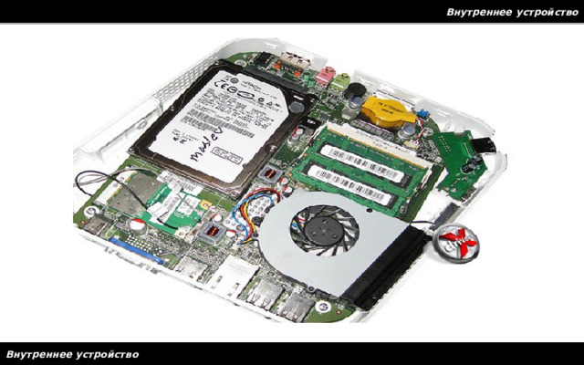 Внутреннее устройство Внутреннее устройство 