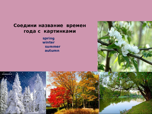 Соедини название времен года с картинками   spring  winter  summer  autumn 