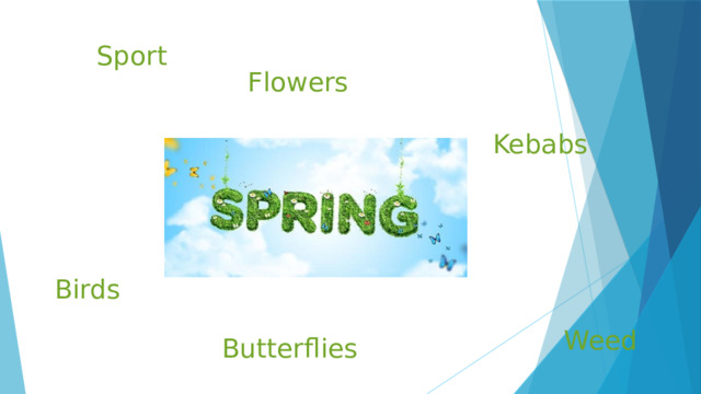 Sport Flowers Kebabs Birds Weed Butterflies 