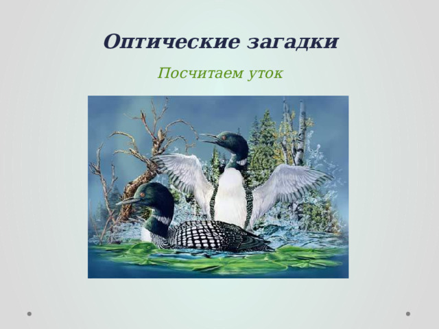 Оптические загадки Посчитаем уток Сколько уток вы увидели? (9) 