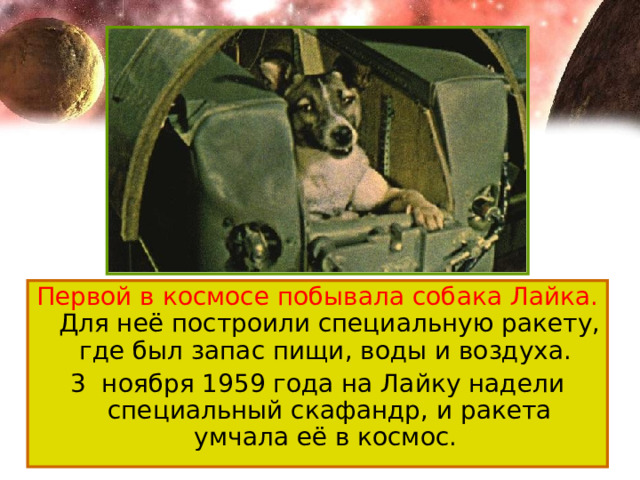 Первой в космосе побывала собака Лайка. Для неё построили специальную ракету, где был запас пищи, воды и воздуха. 3 ноября 1959 года на Лайку надели специальный скафандр, и ракета умчала её в космос. 