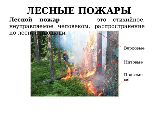 ЛЕСНЫЕ ПОЖАРЫ Лесной пожар – это стихийное, неуправляемое человеком, распространение по лесной площади. Верховые Низовые Подземные 
