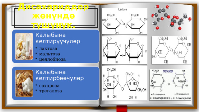 Дисахариддер жөнүндө түшүнүк. Калыбына келтирүүчүлөр лактоза мальтоза целлобиоза лактоза мальтоза целлобиоза Калыбына келтирбөөчүлөр сахароза трегалоза сахароза трегалоза 