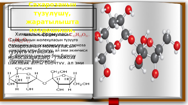 Сахарозанын түзүлүшү, жаратылышта кездешиши .  Химиялык формуласы: С 12 Н 22 О 11 .   Сахарозанын молекуласын түзүүгө катышкан моносахариддер - глюкоза циклдик алты бурчтуу, ал эми экинчиси -фруктоза циклдик беш бурчтуу (Хеуорстун формуласы) 