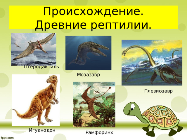 Происхождение.  Древние рептилии. Птеродактиль Мозазавр Плезиозавр Игуанодон Рамфоринх 