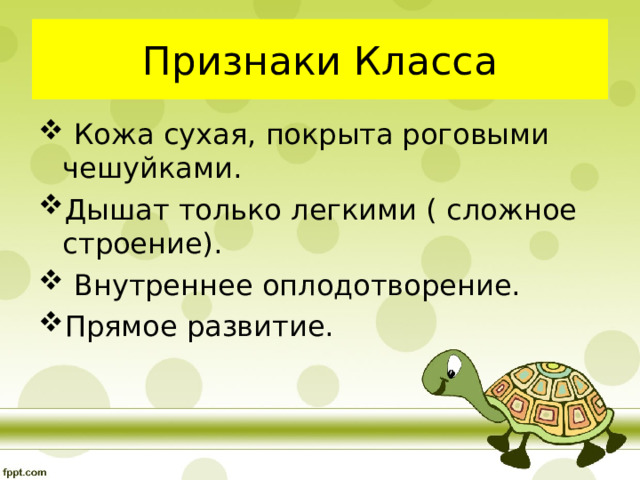 Признаки Класса  Кожа сухая, покрыта роговыми чешуйками. Дышат только легкими ( сложное строение).  Внутреннее оплодотворение. Прямое развитие. 